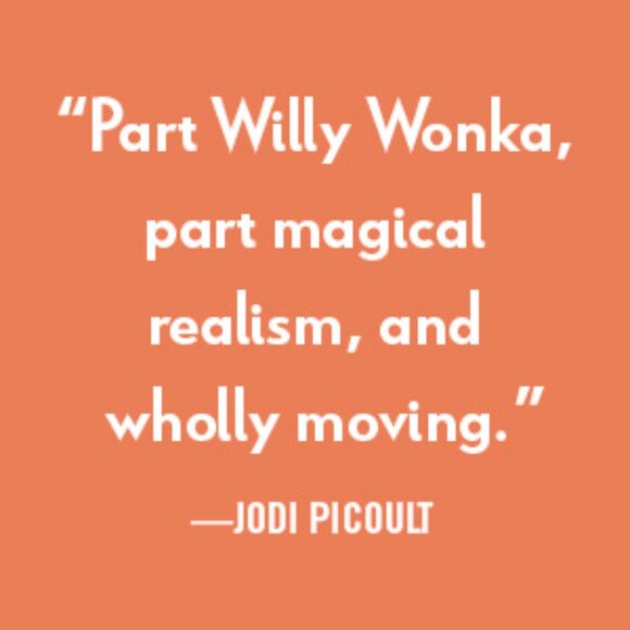 The Wishing Game- Meg Shaffer- BOTM- BRAND NEW COPY- Never Opened! BOTY FINALIST - Picture 8 of 16